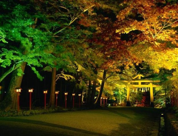 坂本　秋のライトアップ