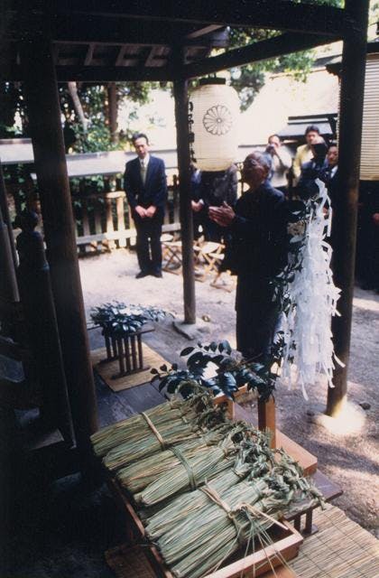 スポットの写真