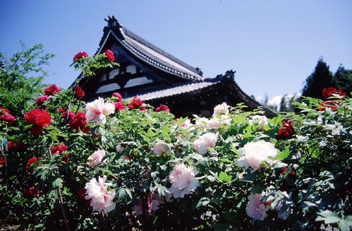 総持寺のボタン