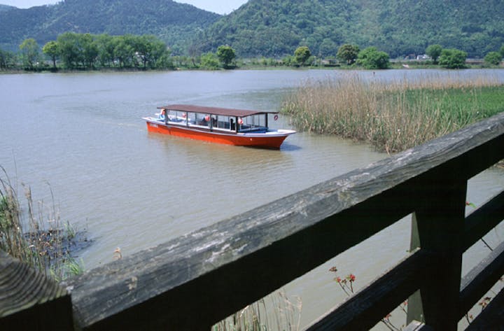 水郷めぐり(びわ湖観光)