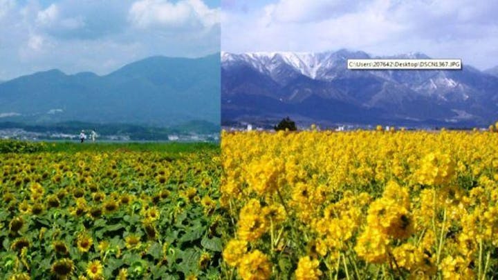 第１なぎさ公園