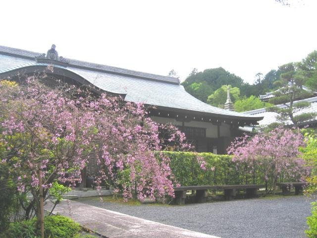 こなん花の寺と磨崖仏めぐり