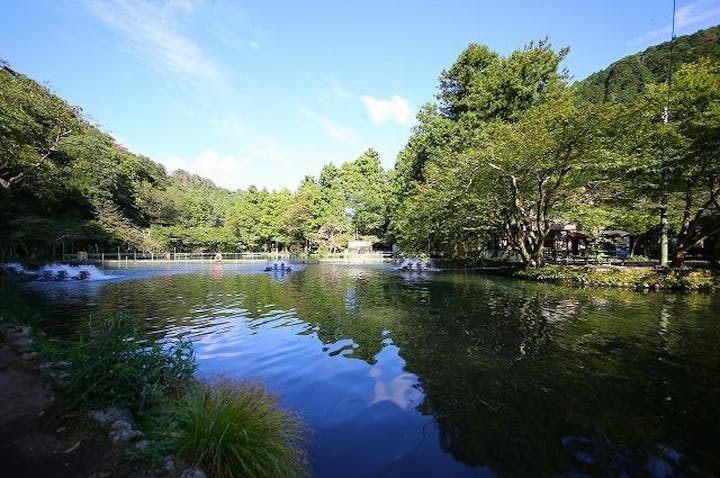 醒井養鱒場ます祭