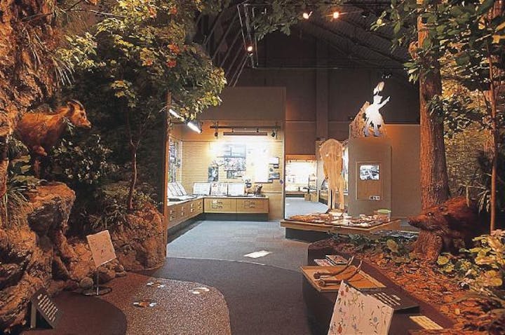 多賀町立博物館