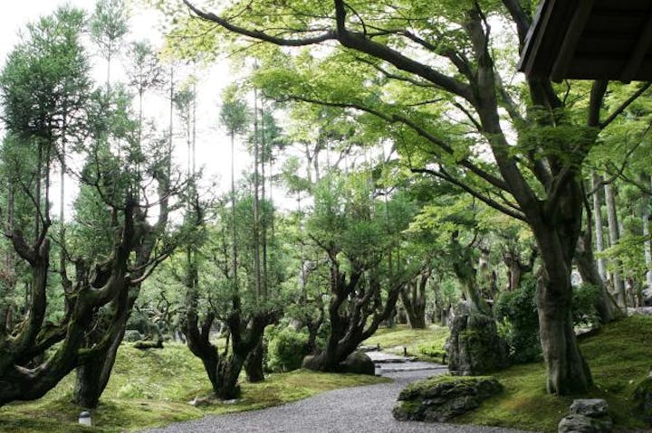 しょうざん庭園 アソビュー