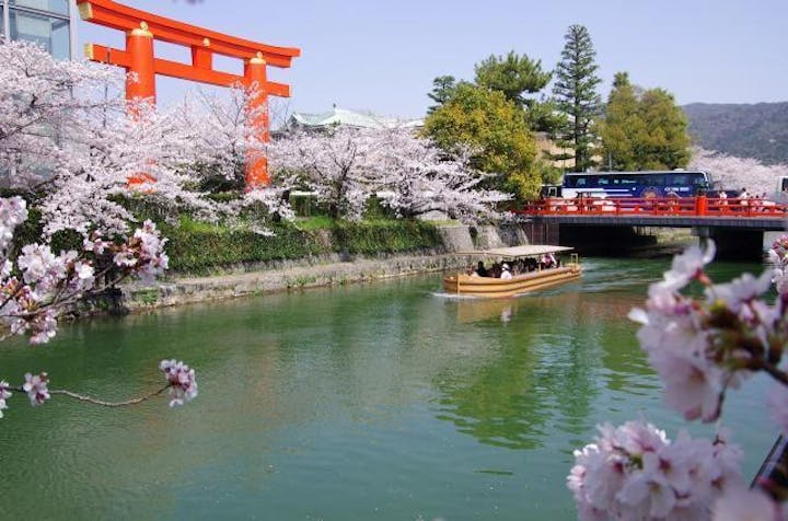 岡崎さくら・わかば回廊十石舟めぐり（岡崎桜回廊ライトアップ＆十石舟めぐり）