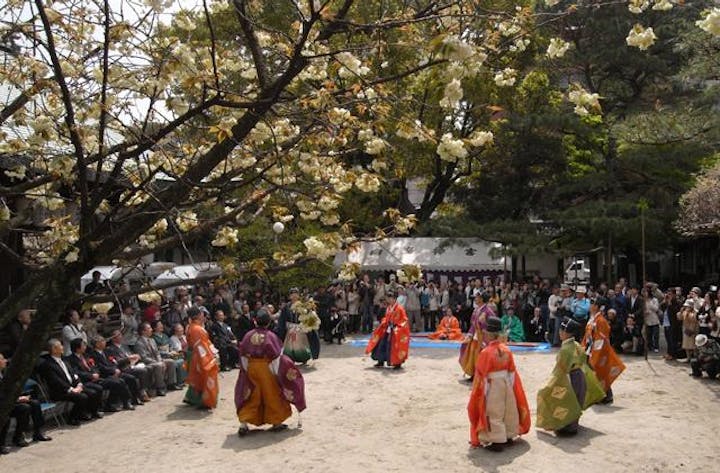 春季例大祭・淳仁天皇祭