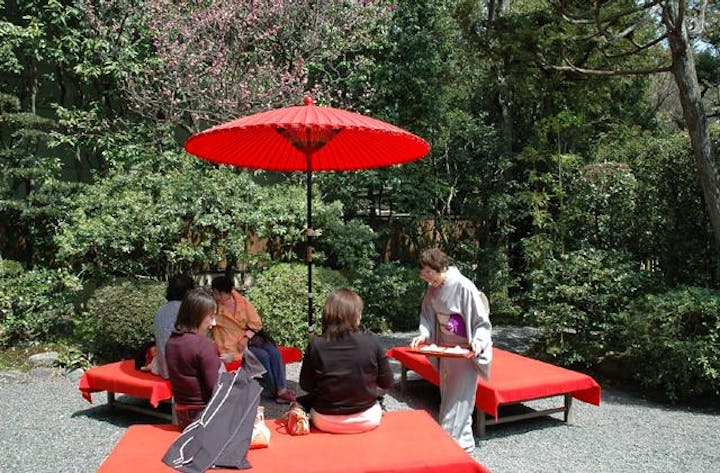 【2021年中止】平安神宮観桜茶会