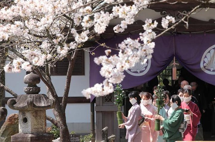 【2021年法要のみ】花供養