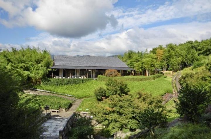 京都市洛西竹林公園