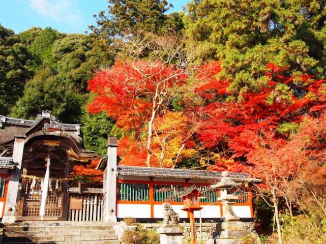 鍬山神社の紅葉
