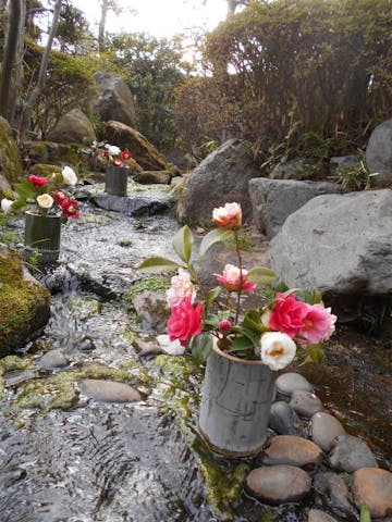 松花堂つばき展