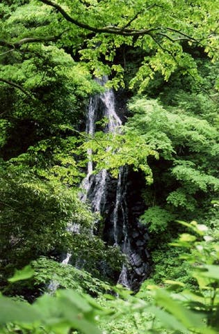 味土野ガラシャ大滝