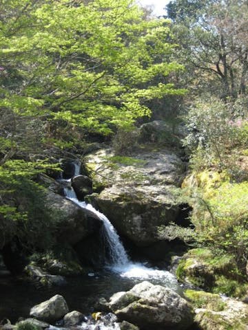 るり渓ハイキングコース