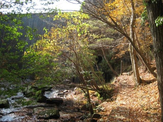 るり渓　遊歩道