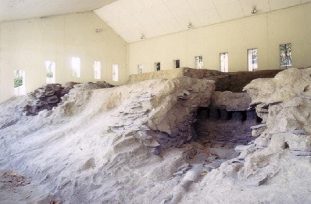 スポットの写真