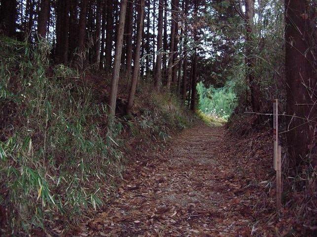 信楽街道〜家康伊賀越えの道〜