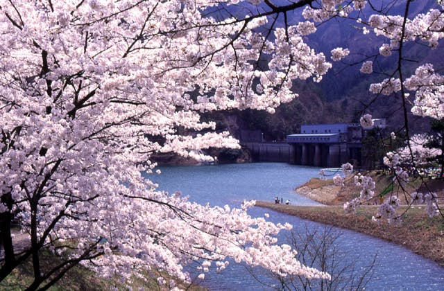 スポットの写真