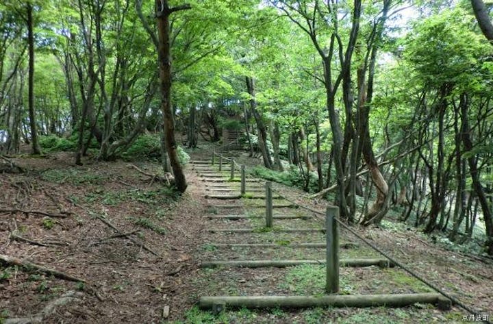 長老ケ岳ハイキングコース