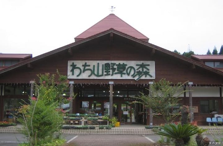 わち山野草の森