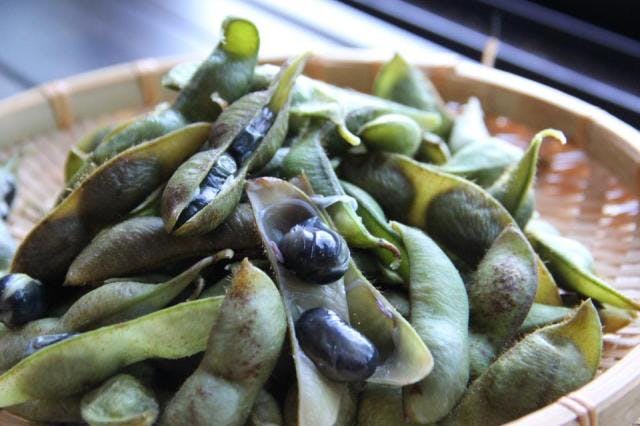 スポットの写真