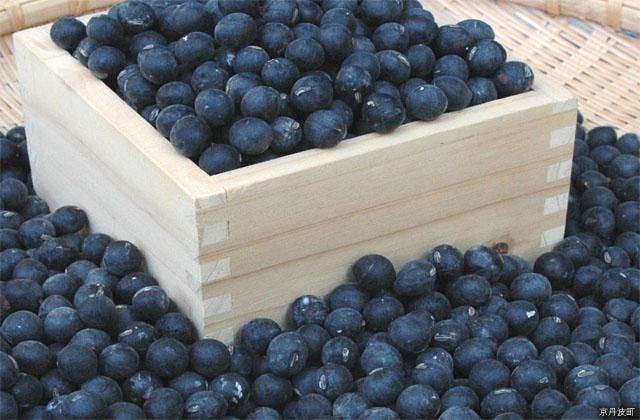 スポットの写真