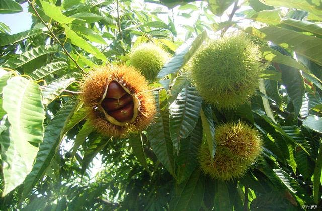 スポットの写真