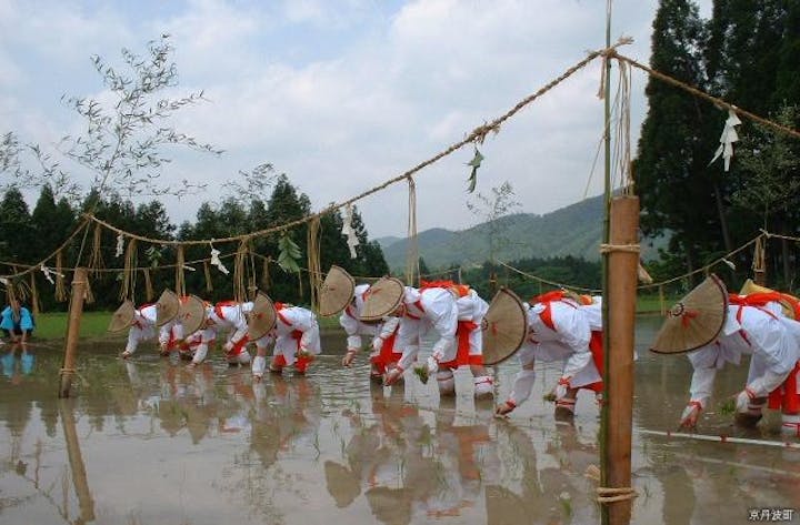 八坂神社御田祭