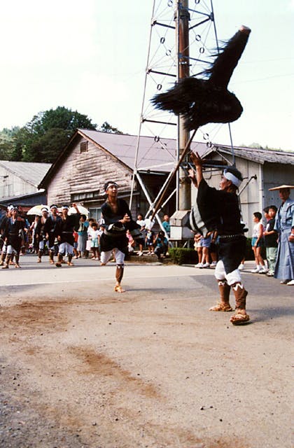 スポットの写真