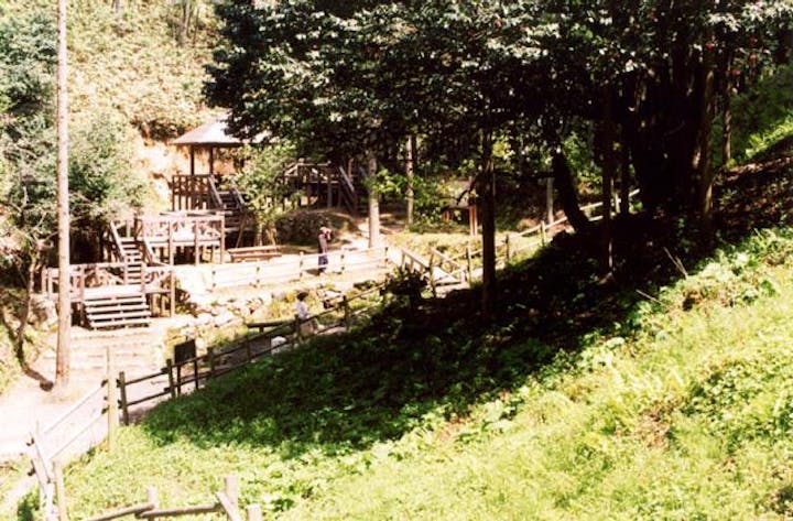 滝の千年ツバキ公園