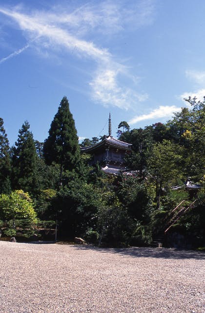 スポットの写真