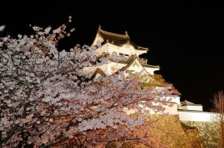 第65回岸和田市お城まつり