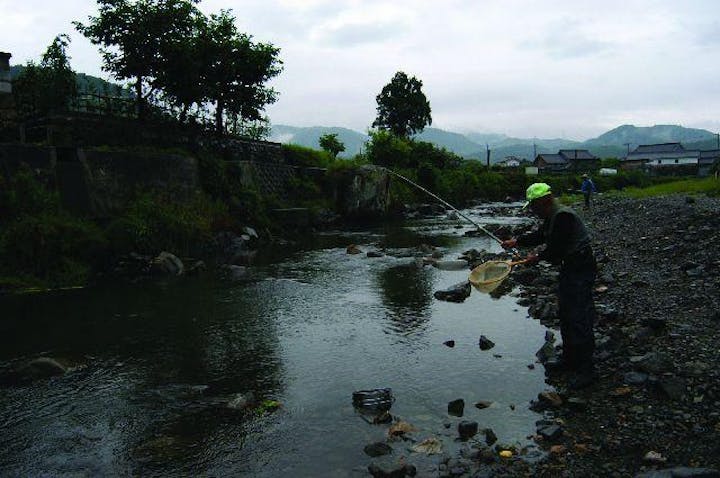 鮎釣り解禁