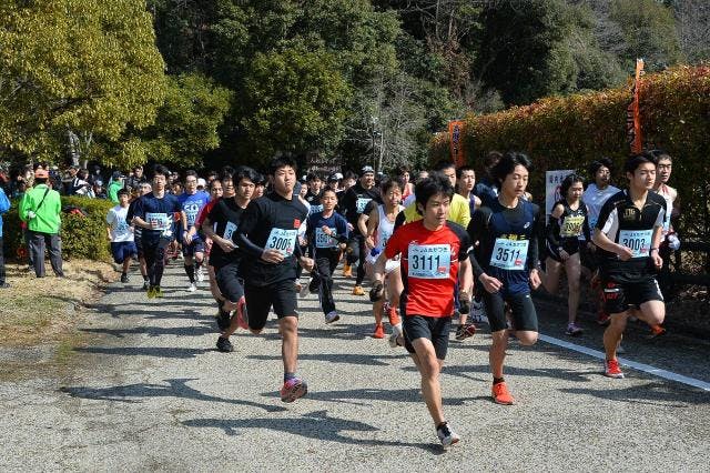 スポットの写真