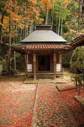 楠妣庵観音寺（なんぴあんかんのんじ）