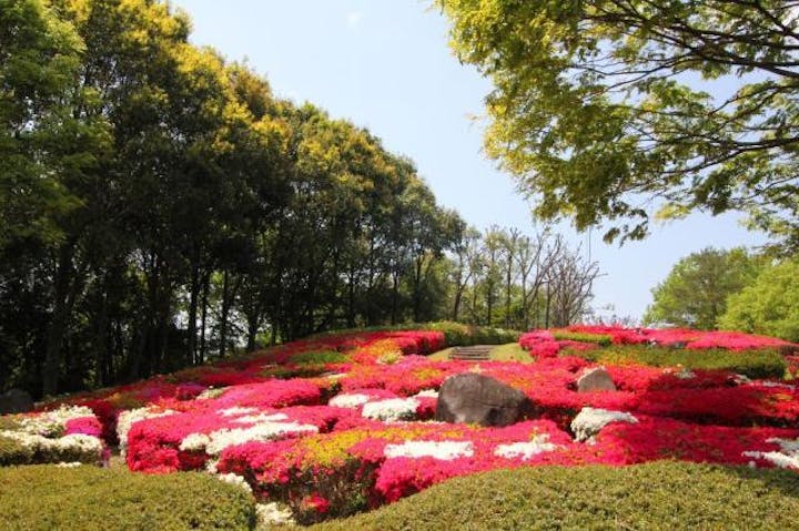 錦織公園