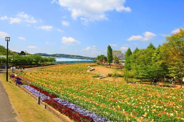 富田林市農業公園（サバーファーム）