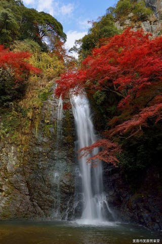 明治の森箕面国定公園もみじまつり