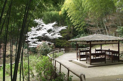 スマイルランド 竜田古道の里山公園 アソビュー