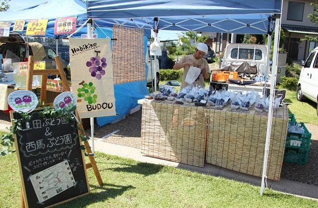 スポットの写真