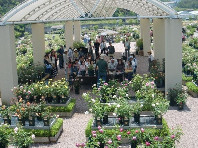 デビッド・オースチンのイングリッシュローズガーデンとプランツセンター