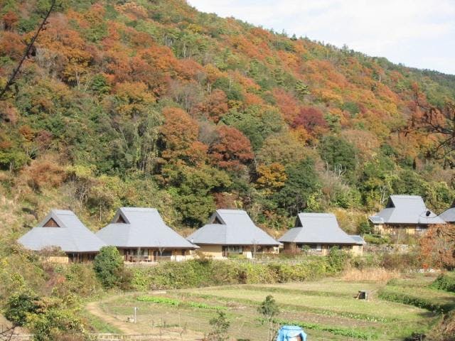 里山の自然学校　紀泉わいわい村