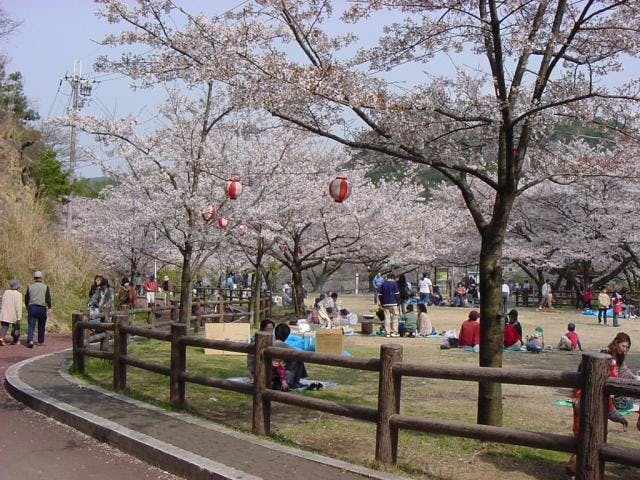 奥山雨山自然公園