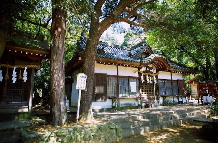 国玉神社