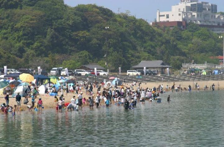 ときめきビーチ（淡輪海水浴場）