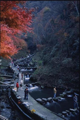 千早川マス釣場