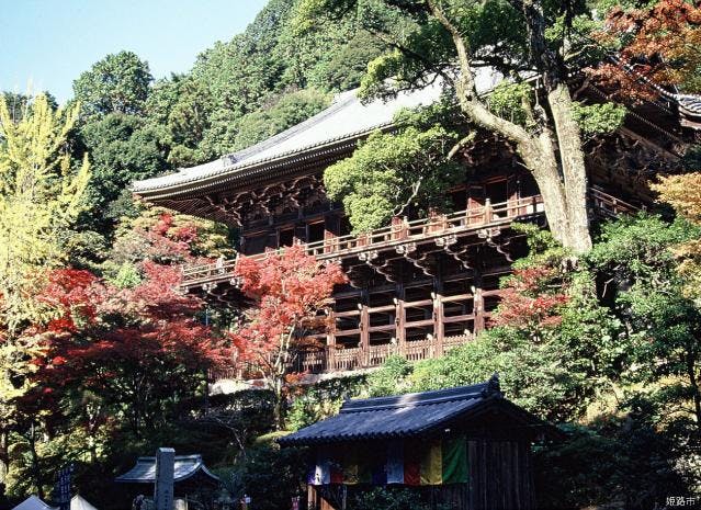 スポットの写真