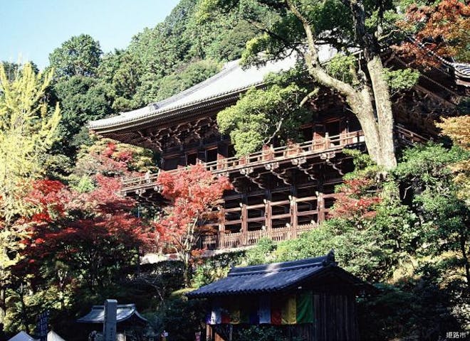 書写山もみじまつり アソビュー