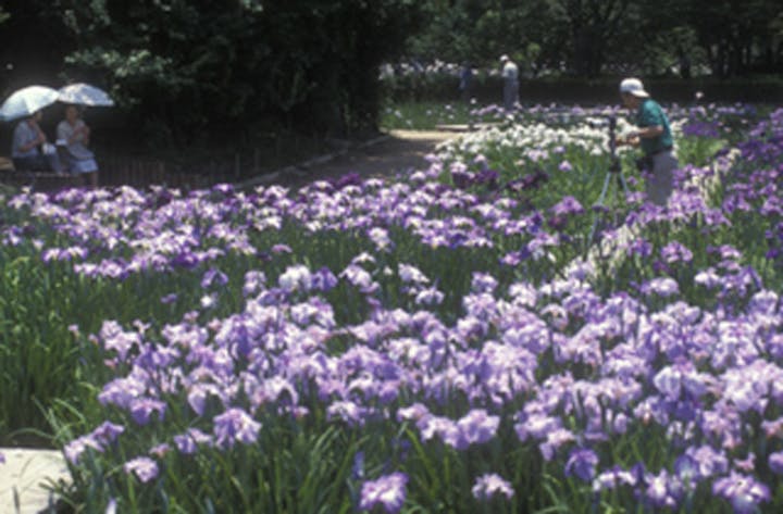 尼崎市農業公園