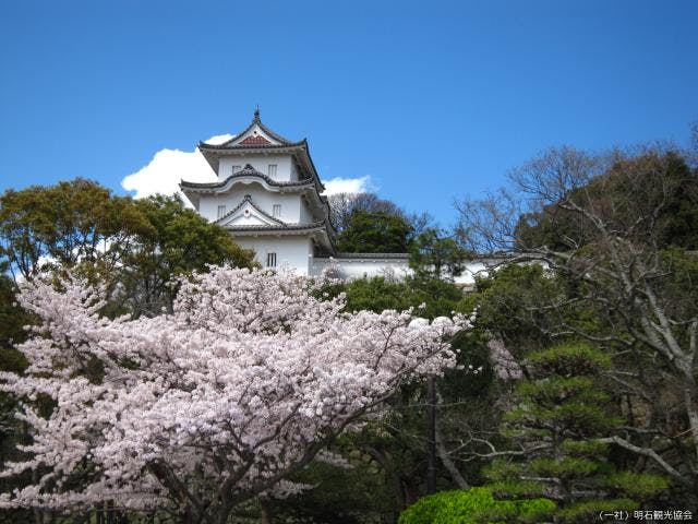 【2021年中止】明石公園さくらまつり